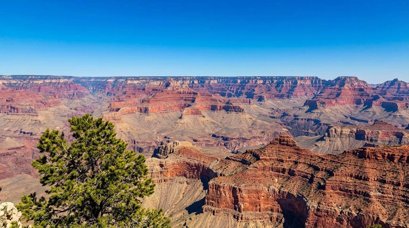 best south rim helicopter tour
